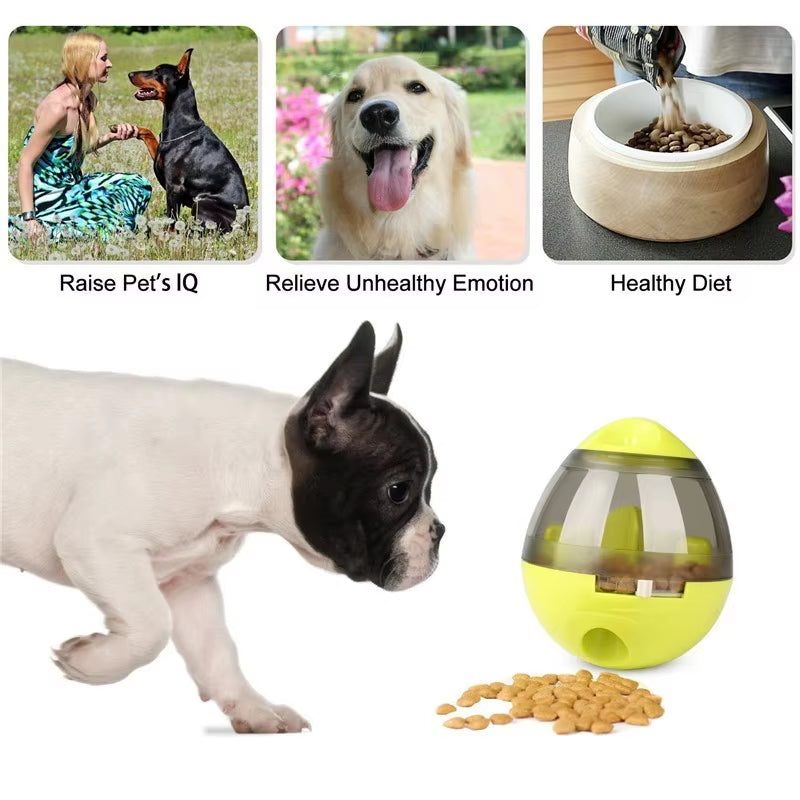Interactive Dumbbell Treat Dispenser Toy