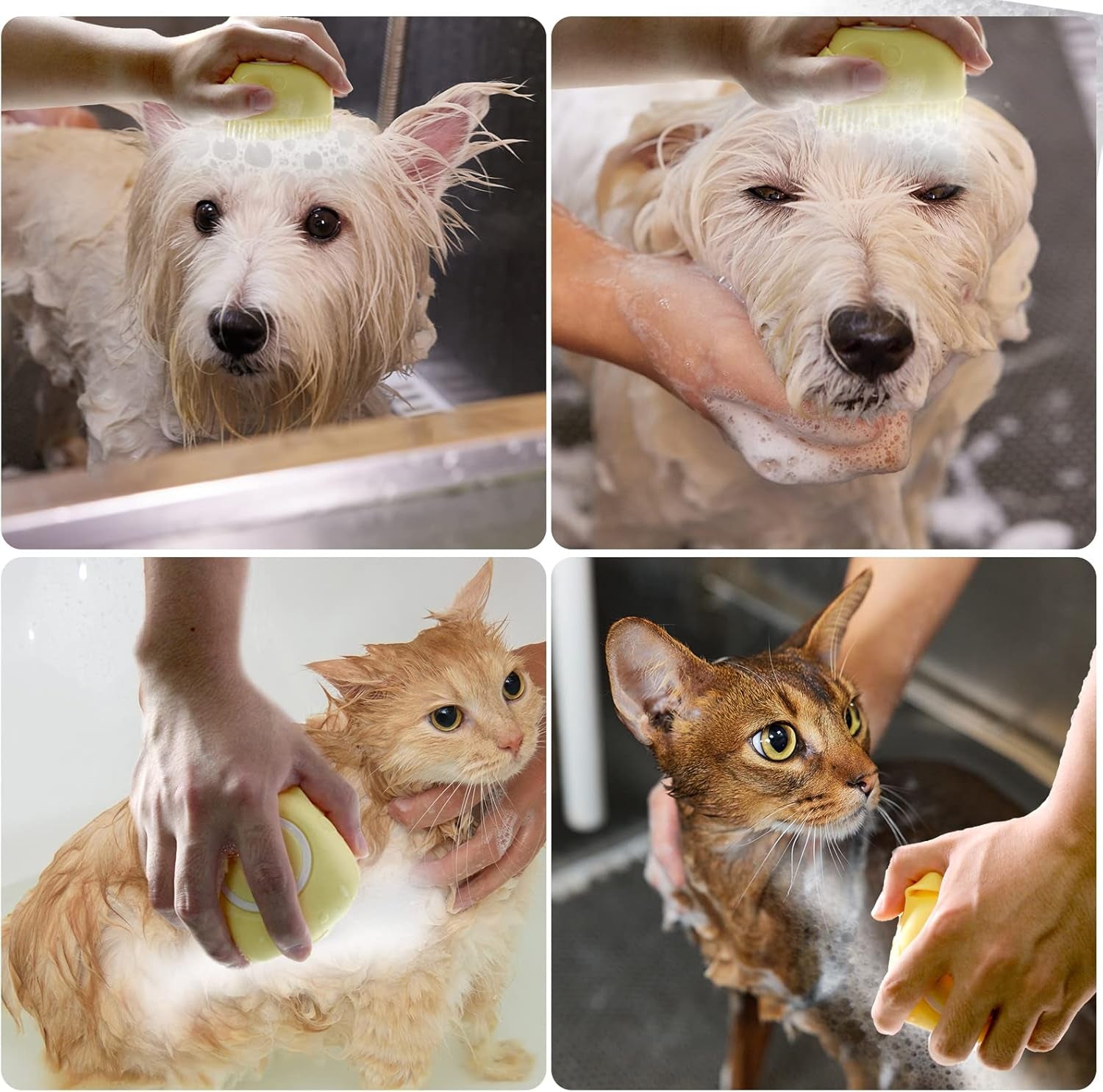 2-in-1 Silicone Pet Bath Brush & Shampoo Dispenser
