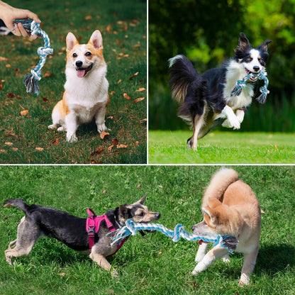 3-Knot Braided Cotton Dog Chew Rope for Teeth Cleaning
