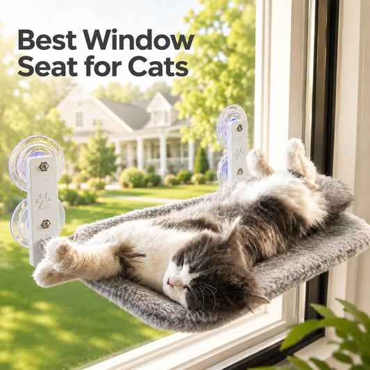 Cordless Folding Window Cat Hammock & Perch