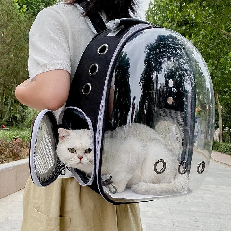 Transparent Breathable Pet Backpack Carrier
