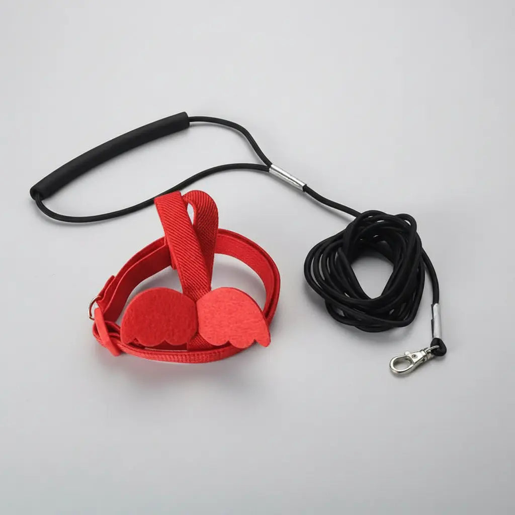 Outdoor Safety Bird Training Harness for Parrots & Cockatiels