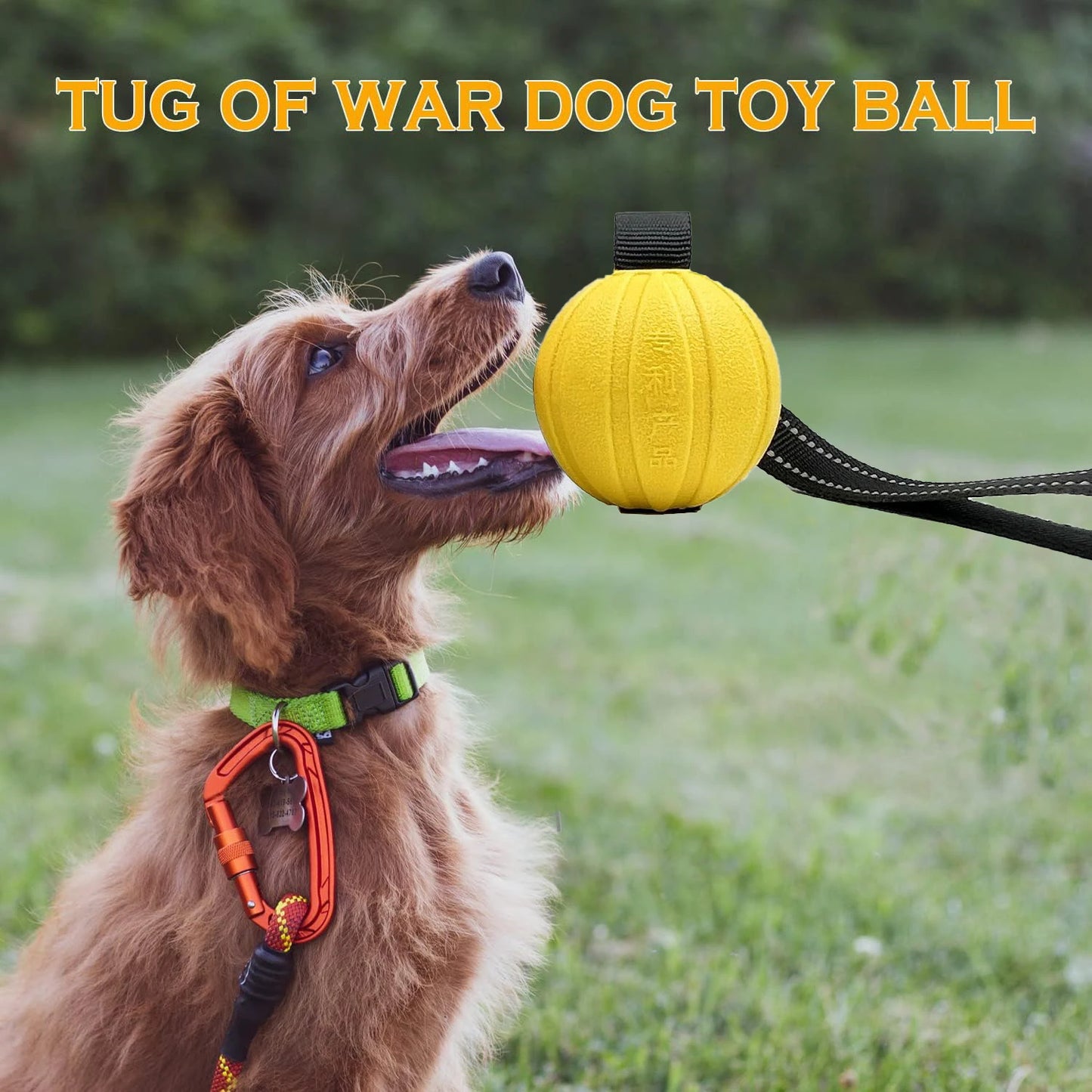 Durable Training Ball on Strap
