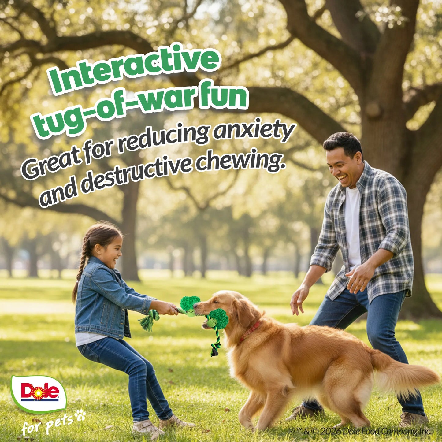 Dole for Pets Broccoli Dog Rope Toy with Squeaker, Tug of War Dog Toy- Cute Veggie Design