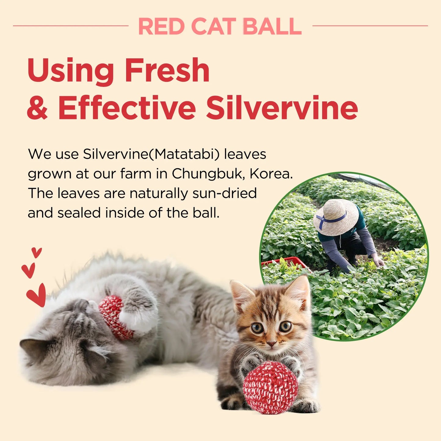Red Cat Ball