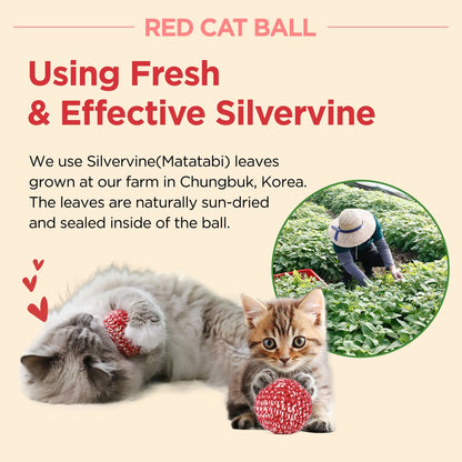 Red Cat Ball