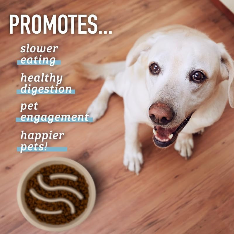 Slow Feeder Puzzle Dog Bowl 