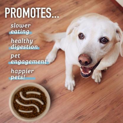 Slow Feeder Puzzle Dog Bowl 
