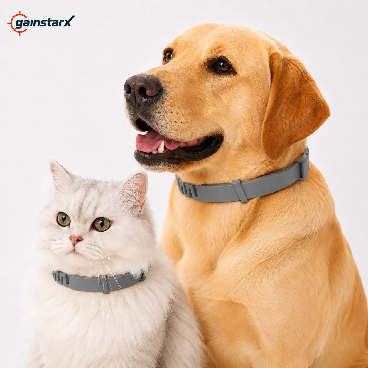 Premium Lightweight Scented Dog Collar for Large & Medium Dogs