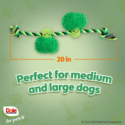 Dole for Pets Broccoli Dog Rope Toy with Squeaker, Tug of War Dog Toy- Cute Veggie Design