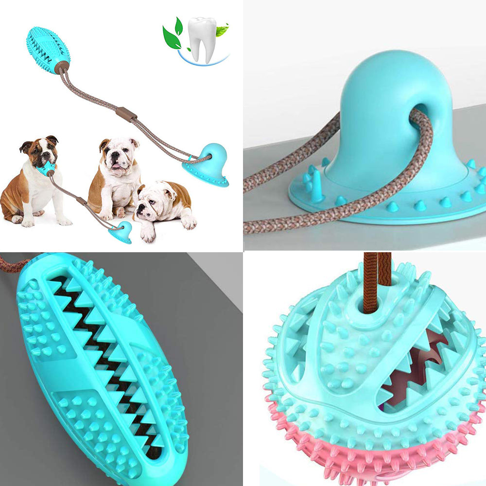 Suction Cup Tug Toy with Dental Cleaning Ball