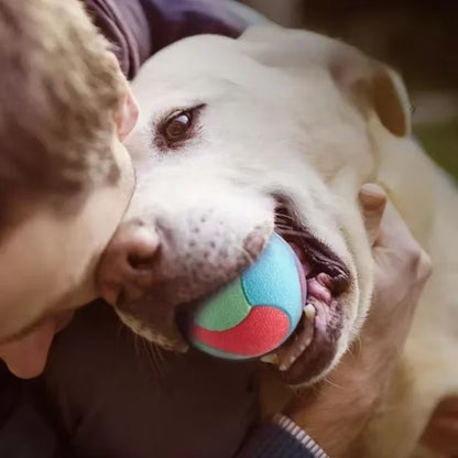 Heavy-Duty Solid Rubber Fetch Ball for Dogs