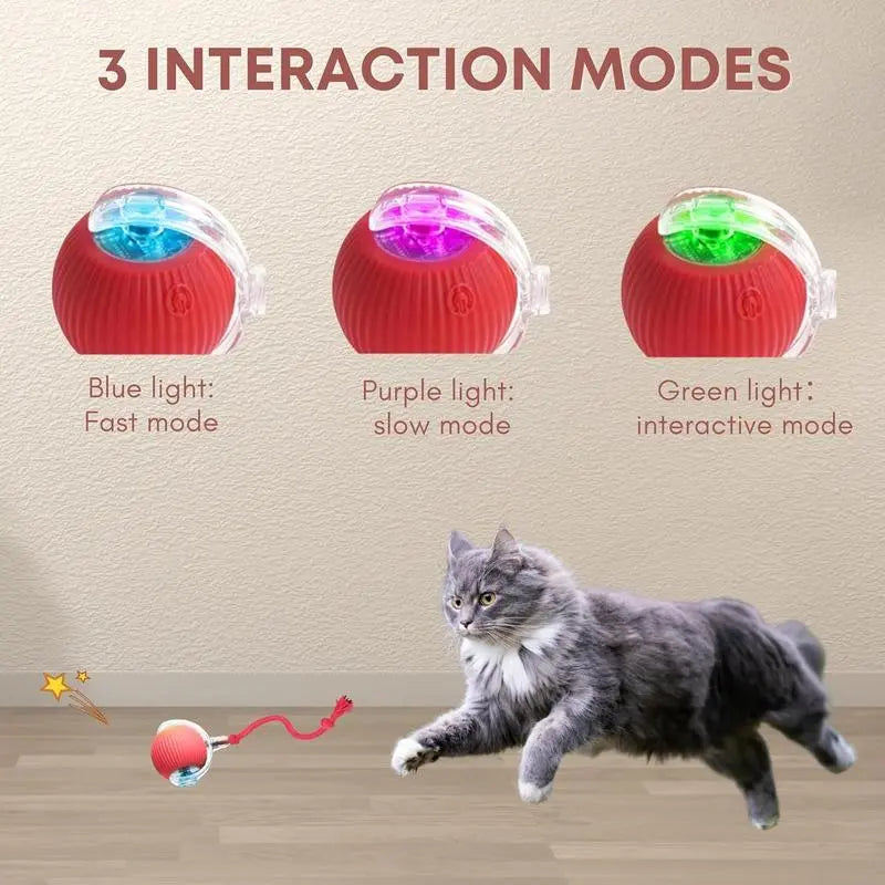 USB Rechargeable Rolling Cat Ball with Teasing Stick