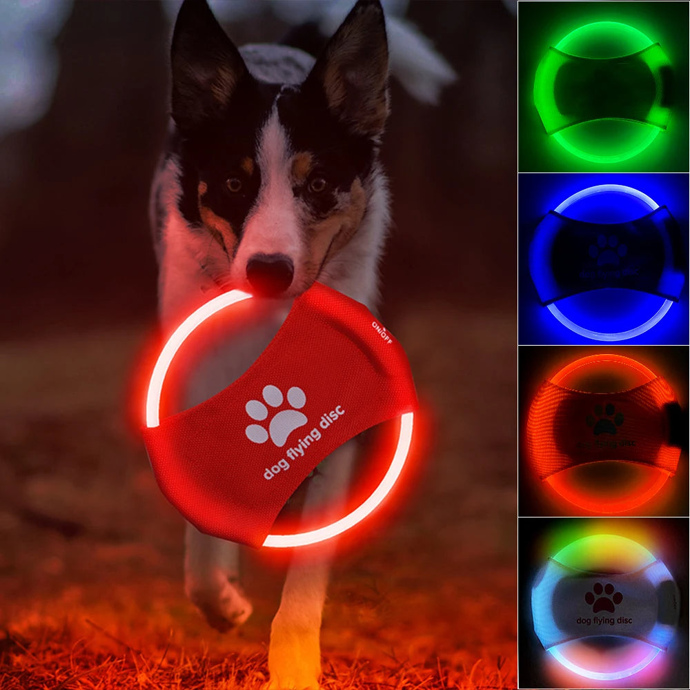 Light-Up LED Luminous Flying Disc Dog Toy