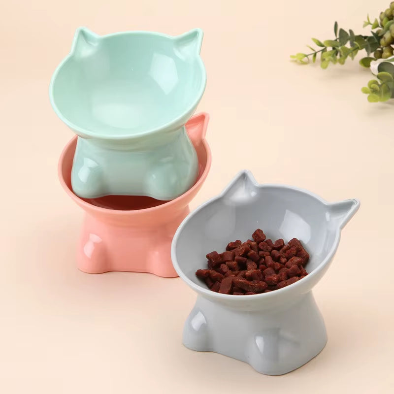 Cute Tilted Elevated Cat Food & Water Bowl