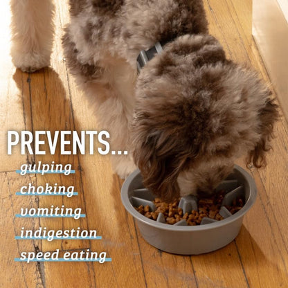 Slow Feeder Puzzle Dog Bowl 