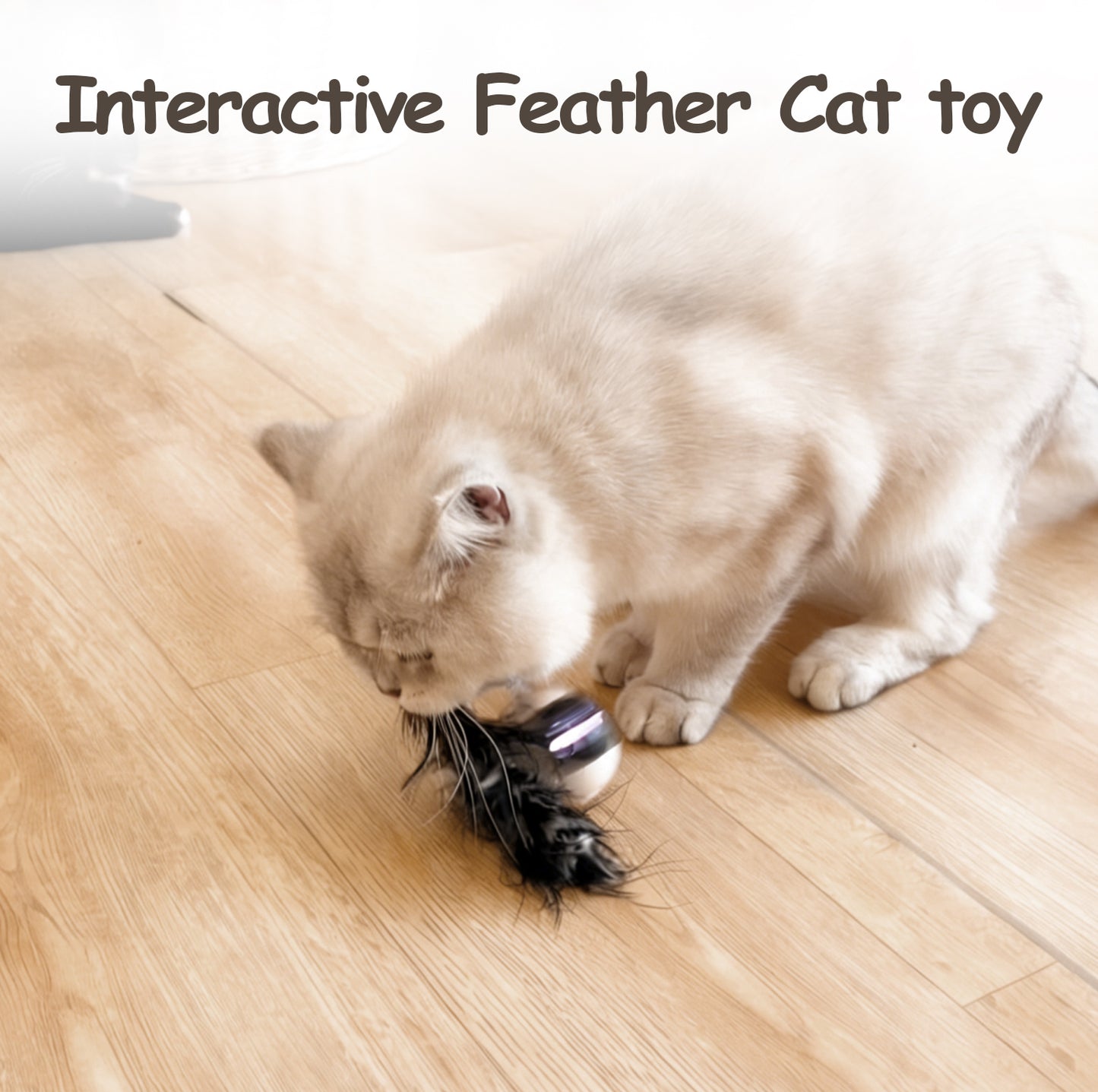 Interactive Automatic Moving Ball Cat Toy (USB Rechargeable)