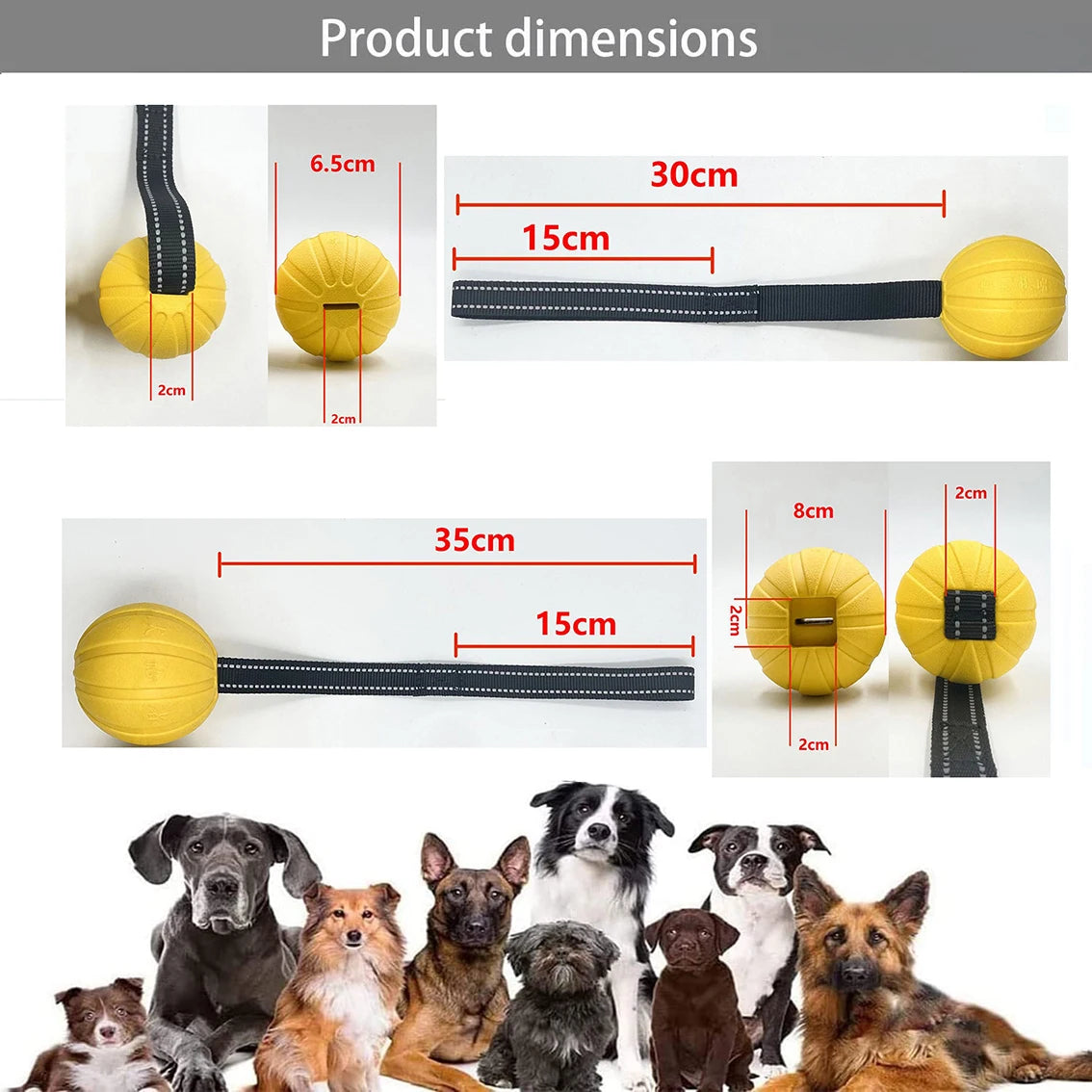 Durable Training Ball on Strap