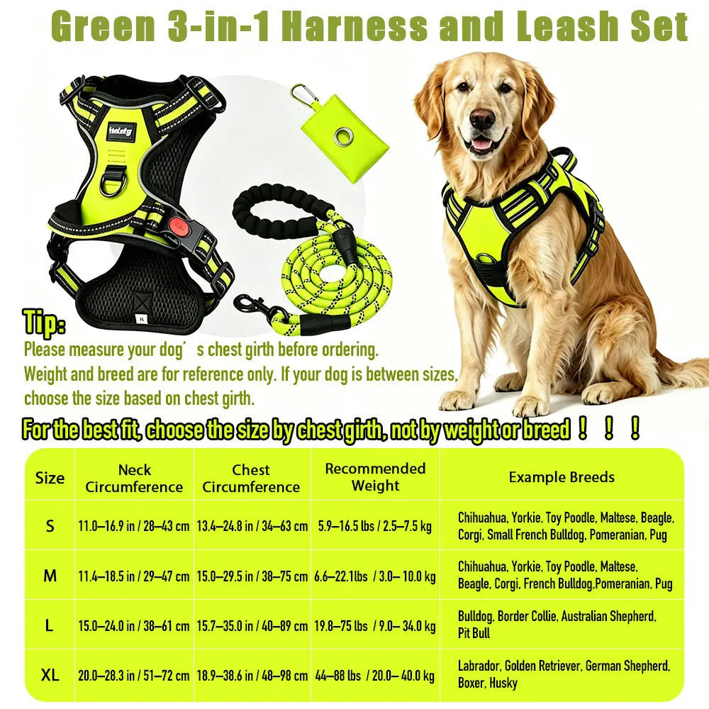 Heavy-Duty No-Pull Reflective Dog Harness Set