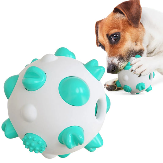 Dental Care Suction Chew Toy