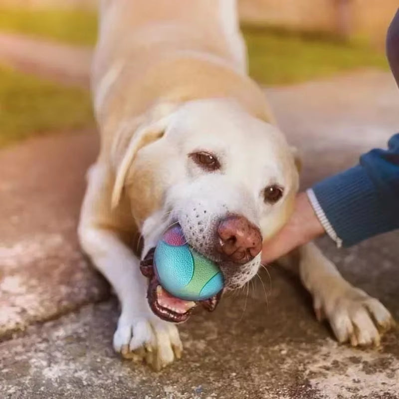 Heavy-Duty Solid Rubber Fetch Ball for Dogs