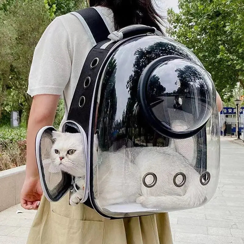 Transparent Breathable Pet Backpack Carrier