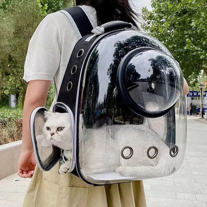 Transparent Breathable Pet Backpack Carrier