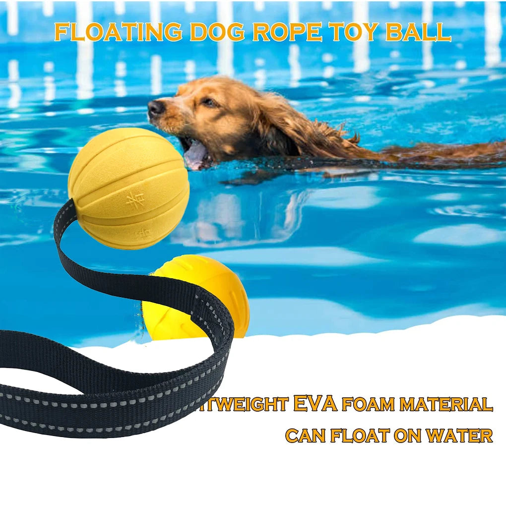 Durable Training Ball on Strap