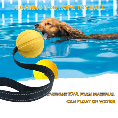 Durable Training Ball on Strap