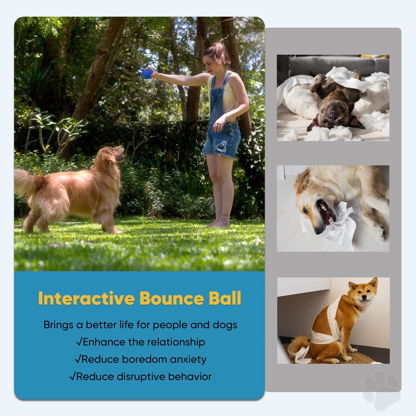 Active Rolling Dog Ball with LED Lights
