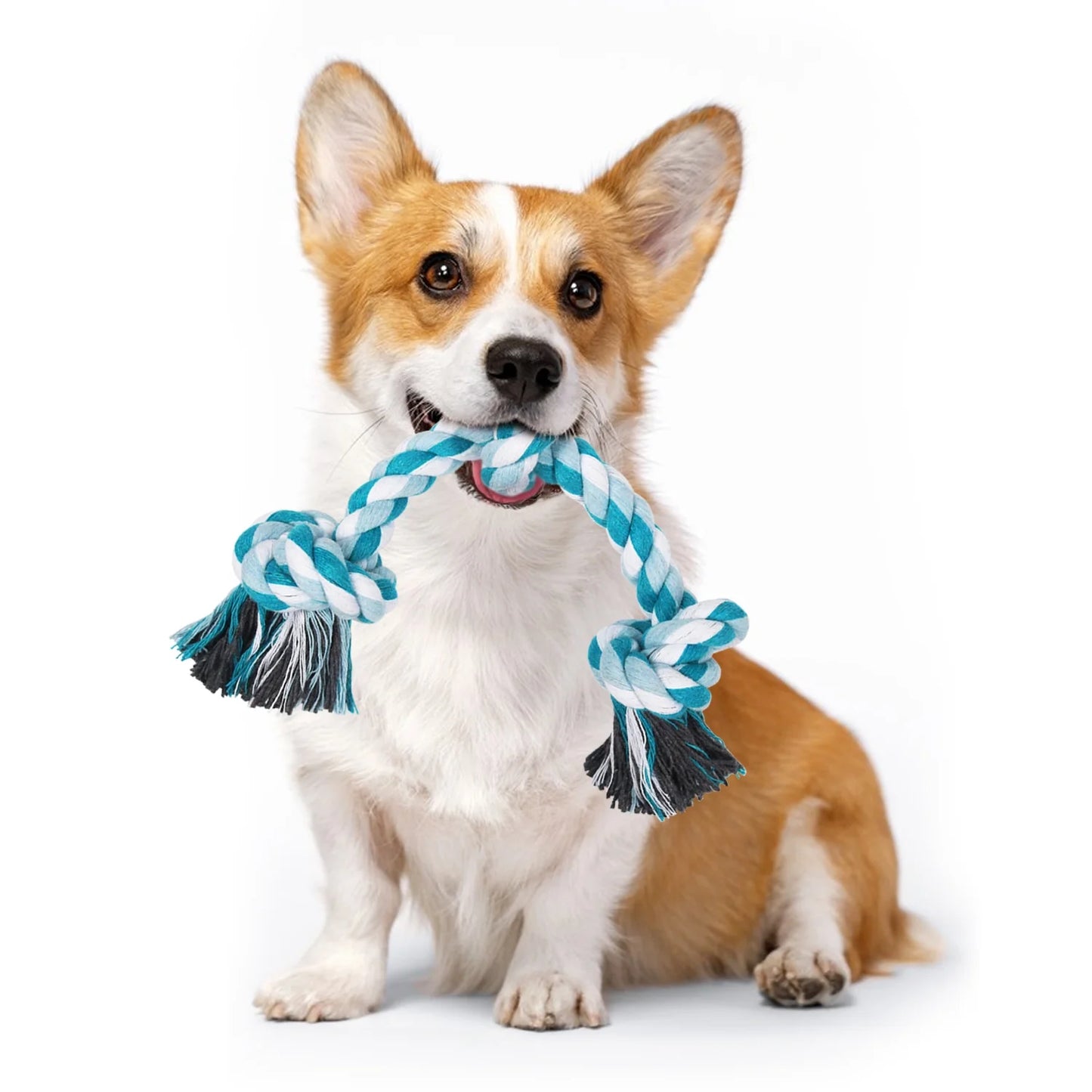 3-Knot Braided Cotton Dog Chew Rope for Teeth Cleaning