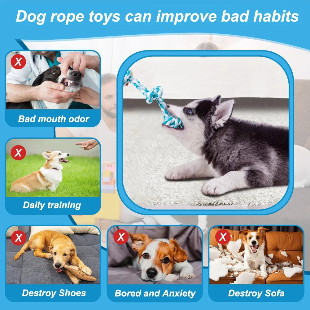 3-Knot Braided Cotton Dog Chew Rope for Teeth Cleaning