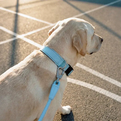 Heavy-Duty Tactical Dog Collar
