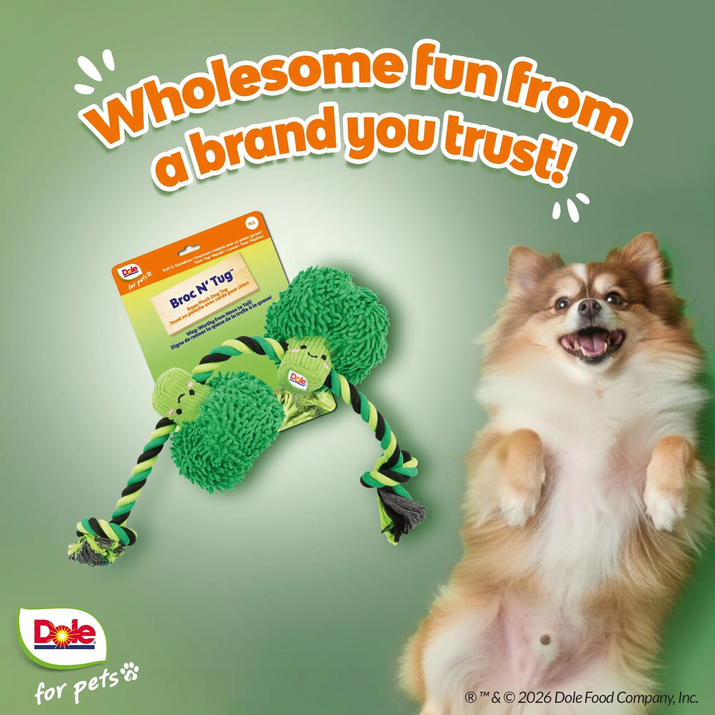 Dole for Pets Broccoli Dog Rope Toy with Squeaker, Tug of War Dog Toy- Cute Veggie Design
