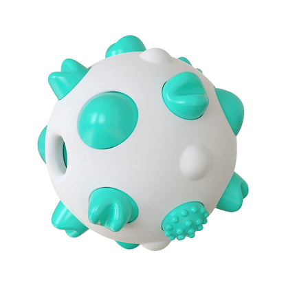 Dental Care Suction Chew Toy