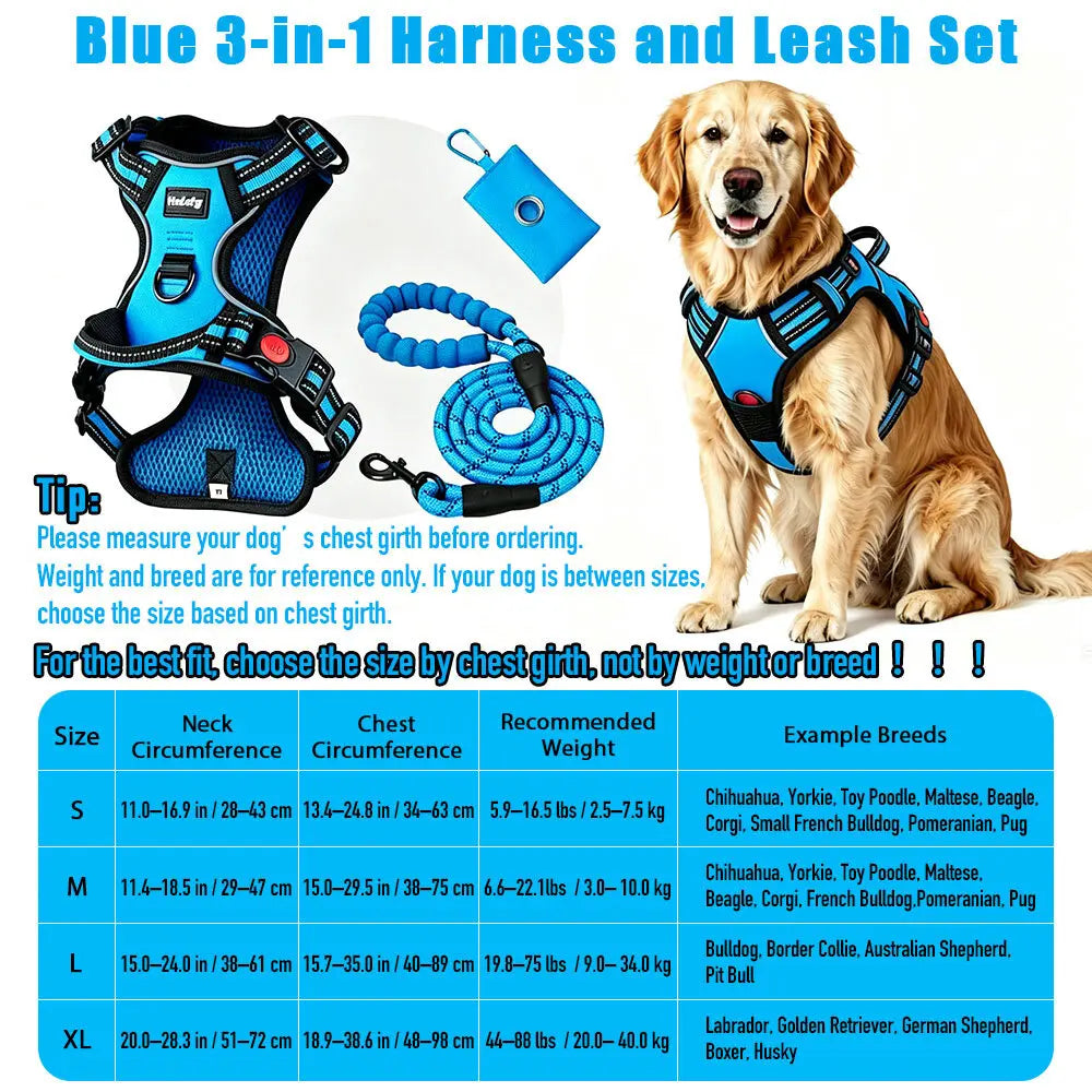 Heavy-Duty No-Pull Reflective Dog Harness Set