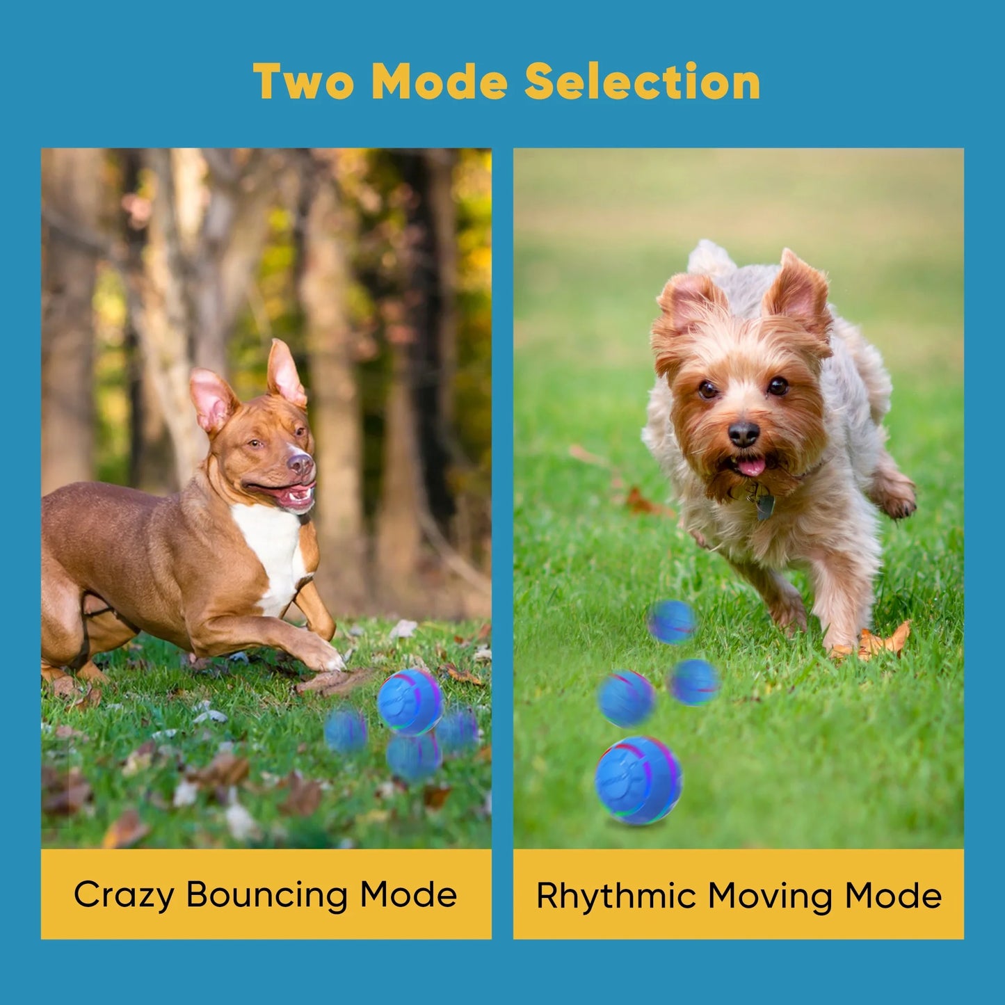 Active Rolling Dog Ball with LED Lights