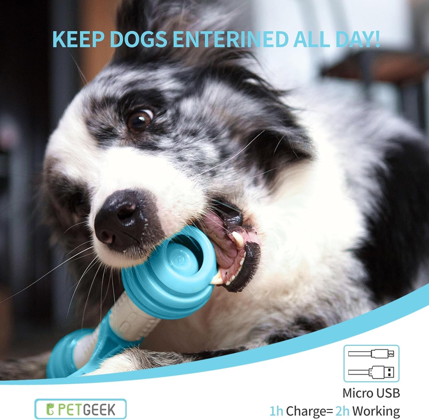 Interactive Electronic Dog Bone Toy