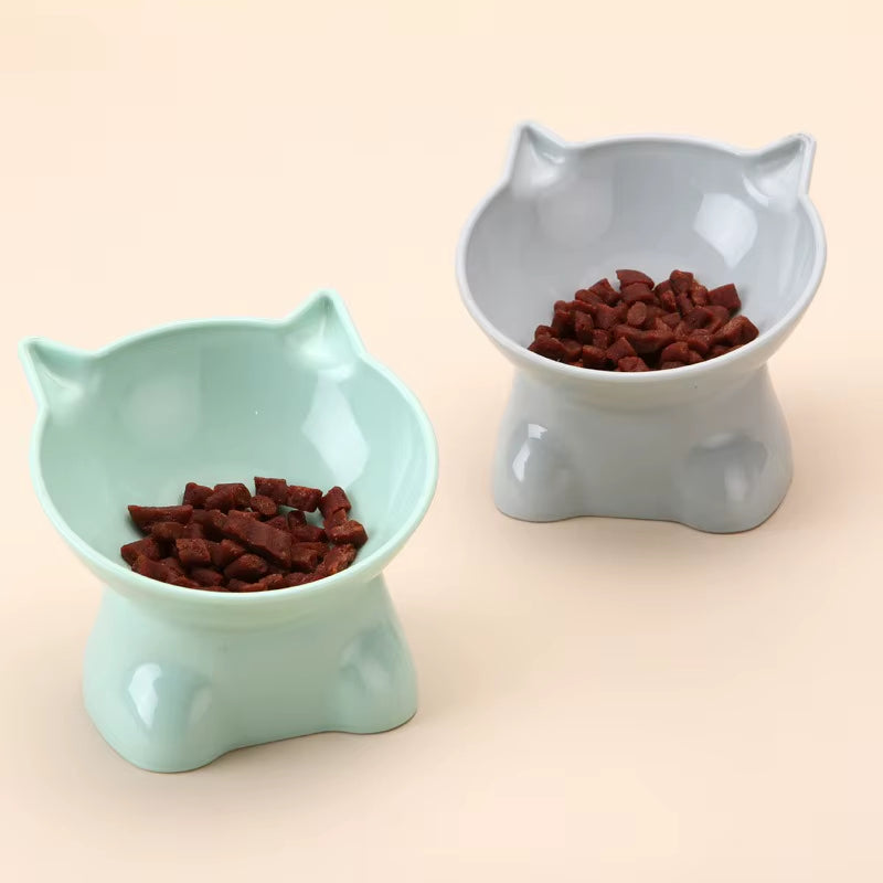 Cute Tilted Elevated Cat Food & Water Bowl