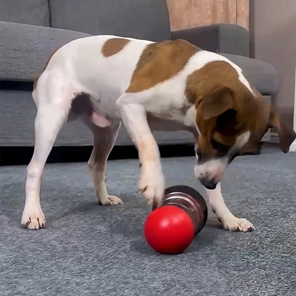 Interactive Slow Feeder Treat Dispenser Ball
